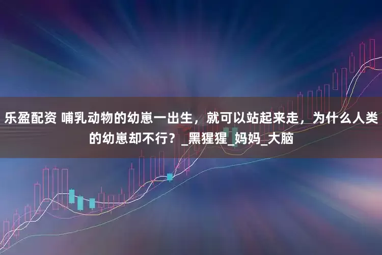 乐盈配资 哺乳动物的幼崽一出生，就可以站起来走，为什么人类的幼崽却不行？_黑猩猩_妈妈_大脑