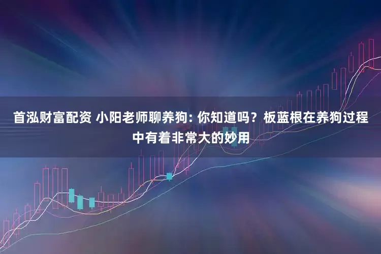 首泓财富配资 小阳老师聊养狗: 你知道吗？板蓝根在养狗过程中有着非常大的妙用