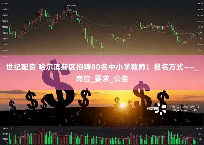 世纪配资 哈尔滨新区招聘80名中小学教师！报名方式——_岗位_要求_公告
