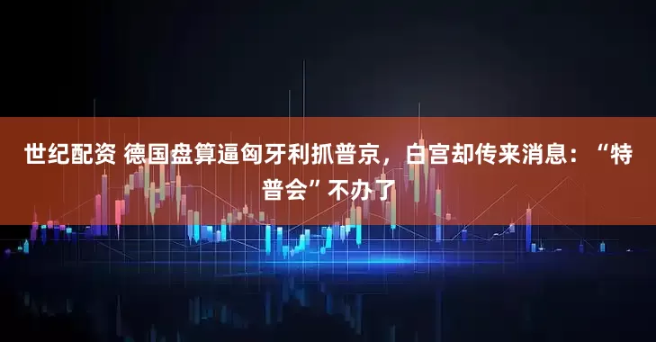 世纪配资 德国盘算逼匈牙利抓普京，白宫却传来消息：“特普会”不办了