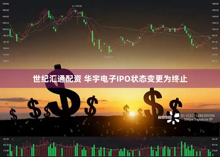 世纪汇通配资 华宇电子IPO状态变更为终止